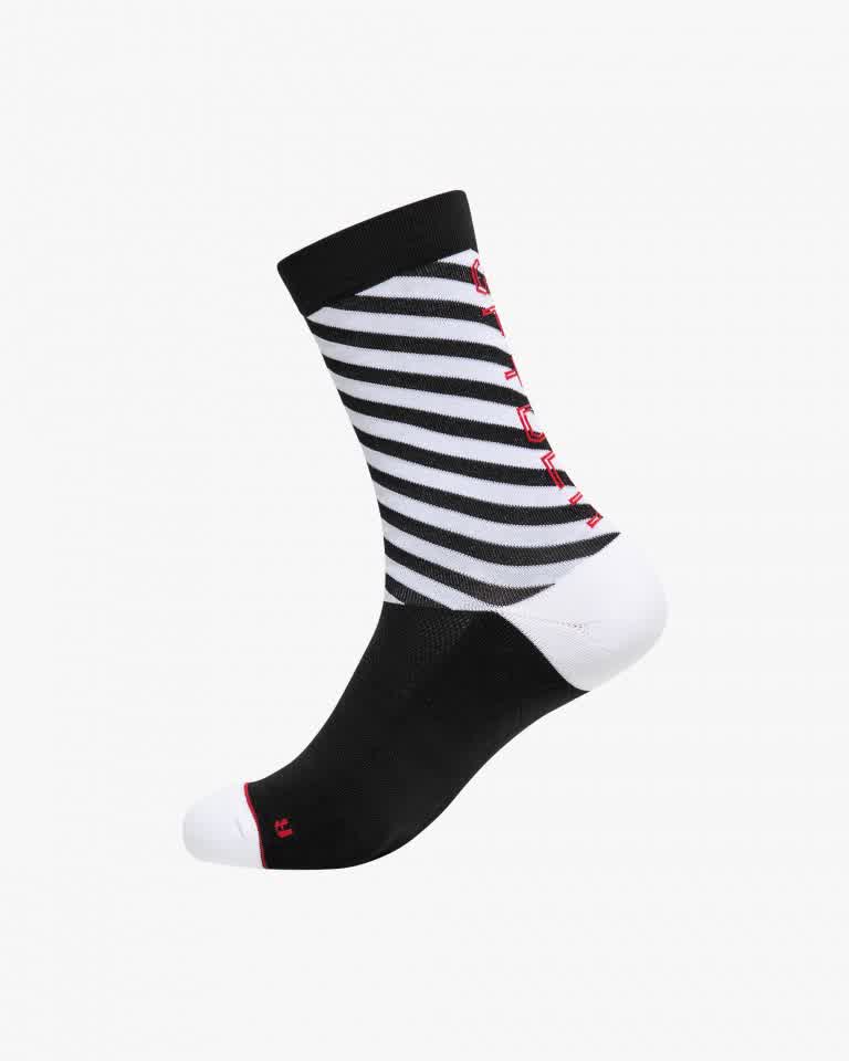 이미지 간략 설명