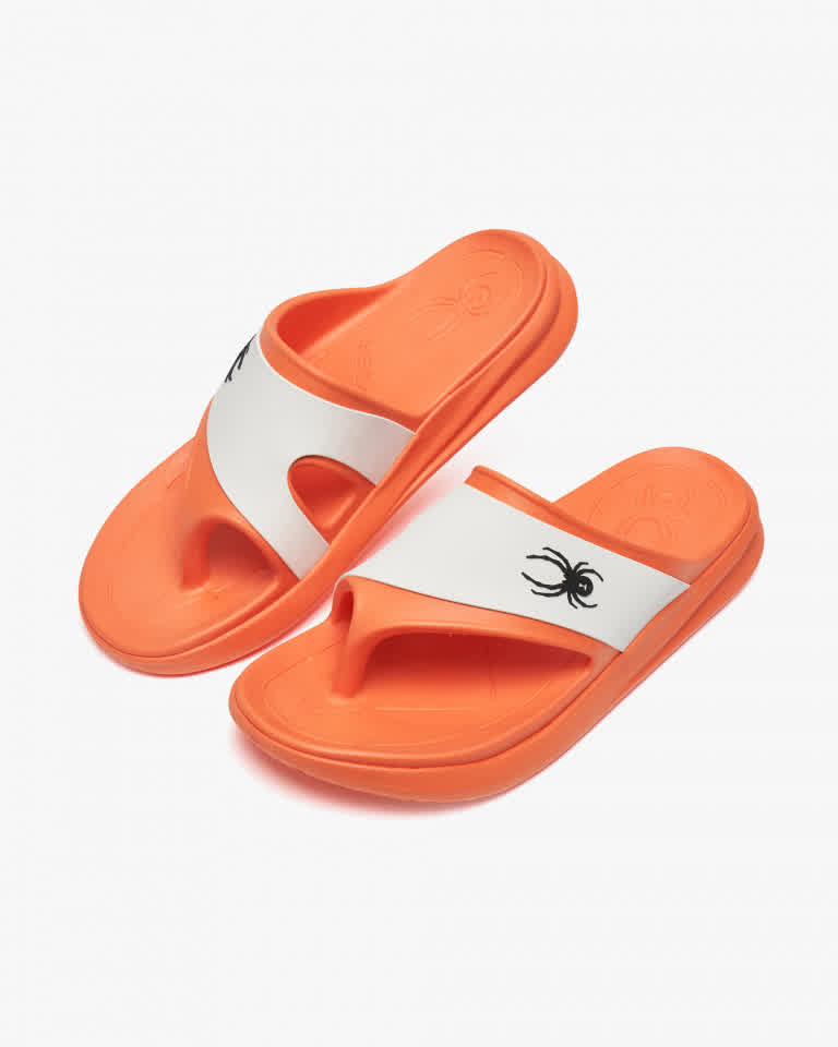 이미지 간략 설명