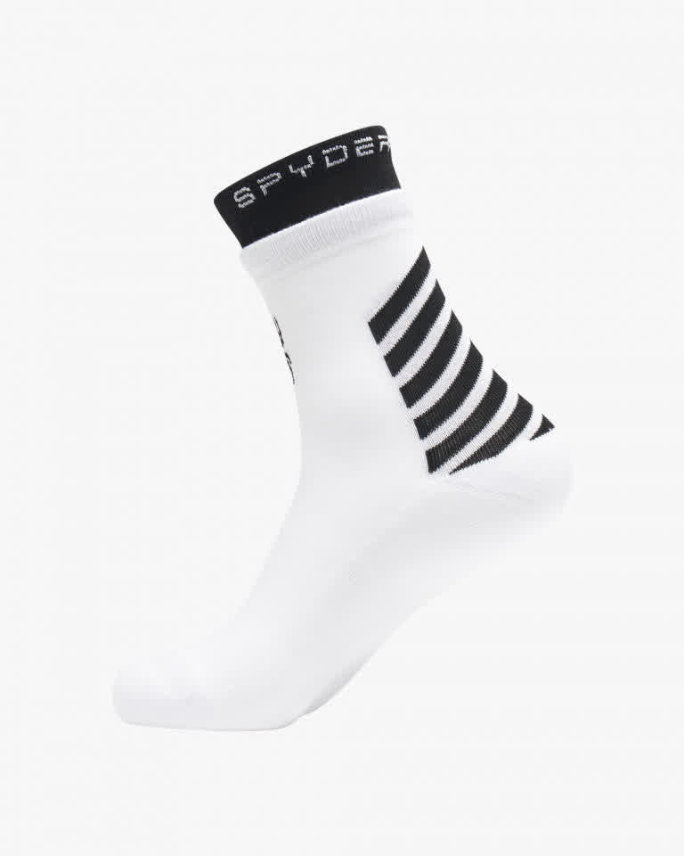 이미지 간략 설명