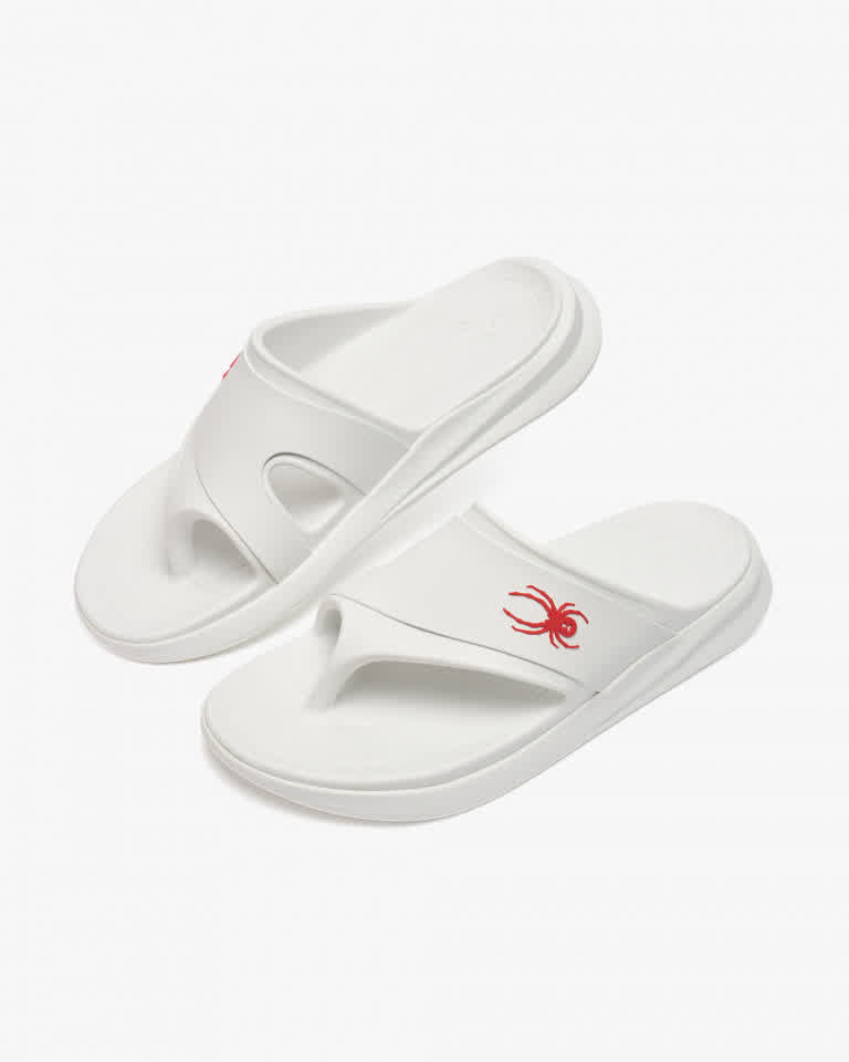 이미지 간략 설명